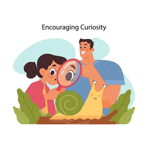 The Initial Excitement and Curiosity