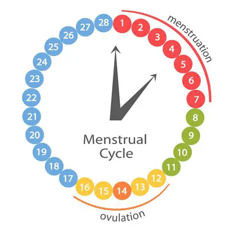 The Interval Between Ovulation and Menstruation