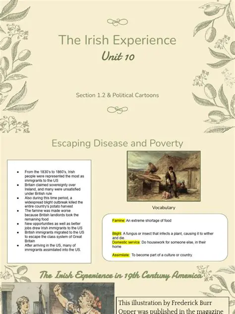 The Irish Experience in the United States