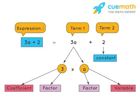 The Issue with Coefficients and Factor Levels