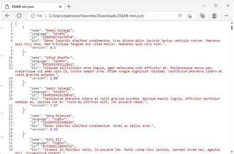 The Issue with JSON Numbers