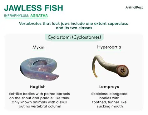 The Jawless Fish Hypothesis