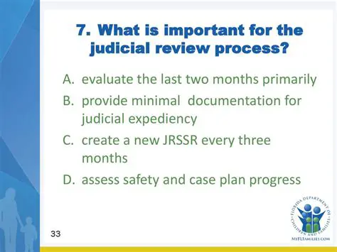The Judicial Review Process