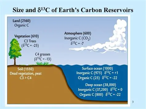 The Largest Source of Carbon on Earth