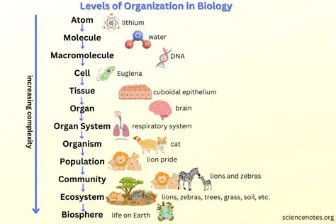 The Levels of Biological Organization