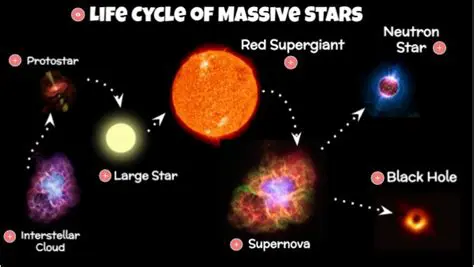 The Life Cycle of a Massive Star