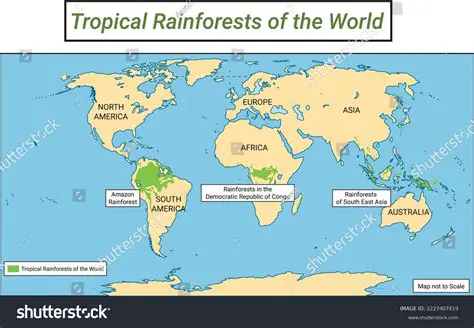 The Location of Tropical Rainforests