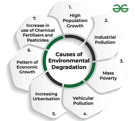 The Main Causes of Human Impact on the Environment