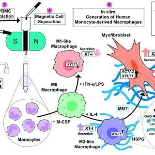 The Main Findings of This Study