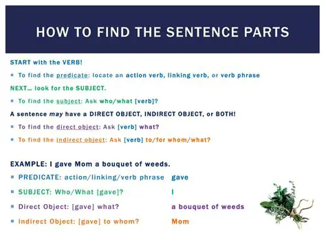 The Main Subject and Action