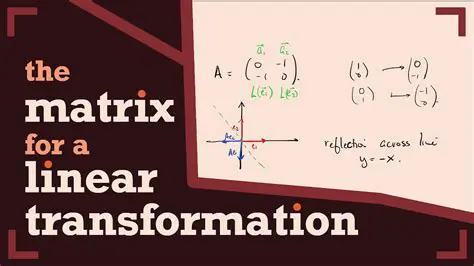 The Matrix Representation of Linear Transformations