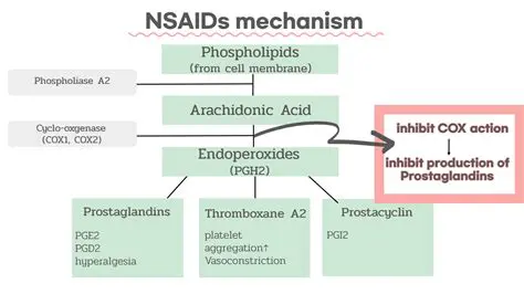 The Mechanism of Action of NSAIDs