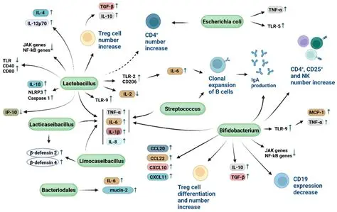 The Mechanism of Cotton Dust and Bishinosis
