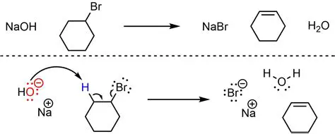 The Mechanism of the Reaction