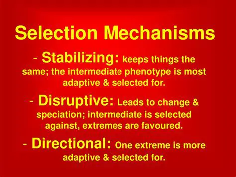 The Mechanisms Behind Disruptive Selection