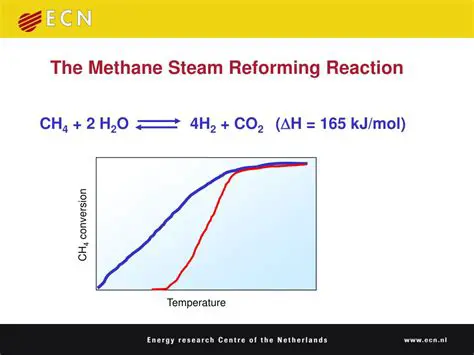 The Methane Steam Reforming Reaction