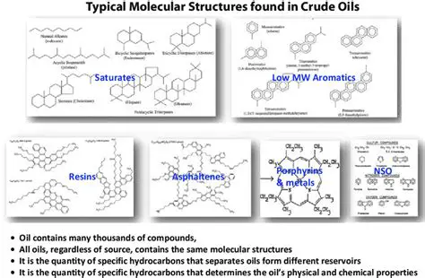 The Molecular Structure of Oils