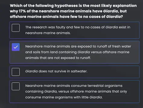 The Most Likely Explanation