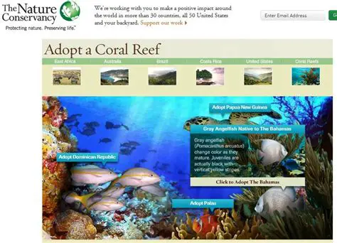 The Nature Conservancy Coral Reef Program