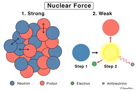 The Nature of the Nuclear Force