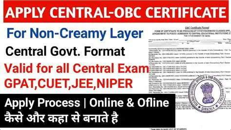 The Need for a Central Government