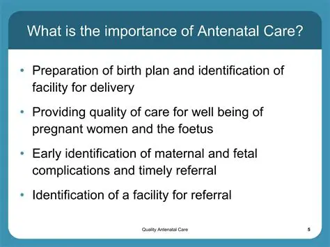 The Need for Antenatal Care Model Pyramid Reverse