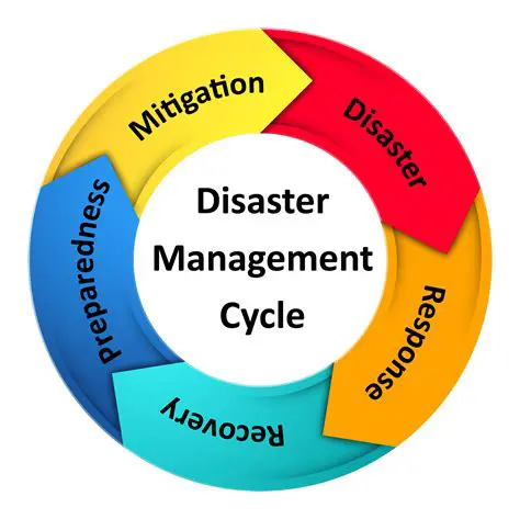 The Need for Effective Disaster Management