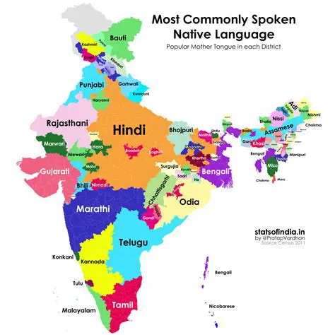 The Need for Indian Language Support