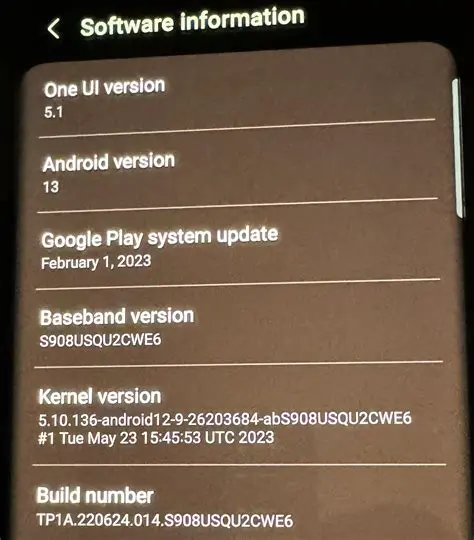 The Need for Latest Stable Release Support