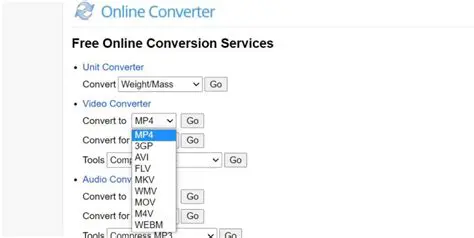 The Need for RMVB Converter