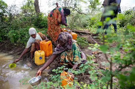 The Need for Water Collecting Devices