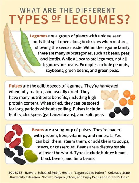 The Nutritional Benefits of Legumes