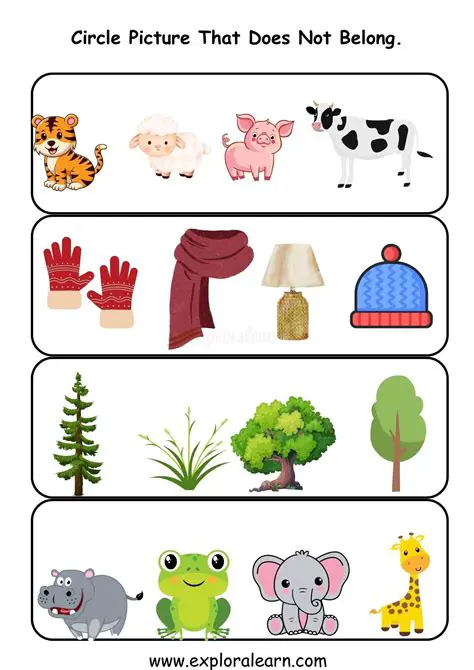 The One That Does Not Belong