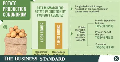 The Package Potato Conundrum