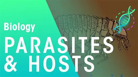 The parasite is dependent on the host