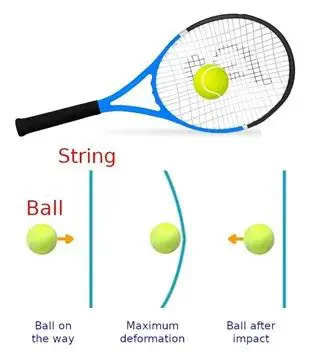 The Physics of a Tennis Ball