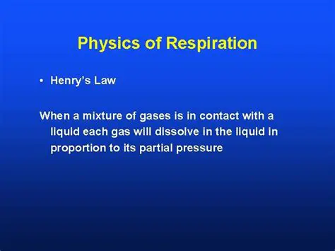 The Physics of Respiration