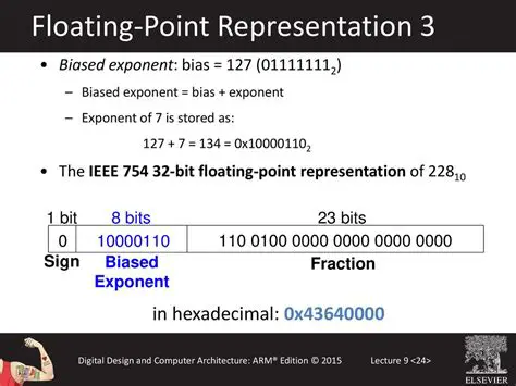 The Point Exponent of Primitive DiraPh Dwiwarna with One Loop