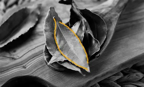 The Potential of Bay Leaf Extract