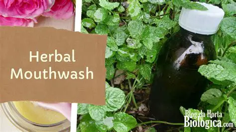 The Potential of Herbal Mouthwashes in Reducing VSCs Levels