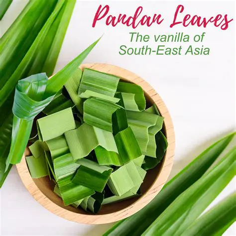 The Potential of Pandan Leaves as a Natural Repellent