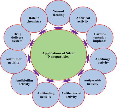 The Potential of Silver Nanoparticles