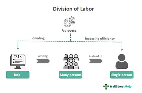 The Power of Division of Labor
