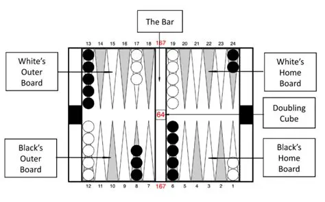 The Power of Neural Nets in Backgammon