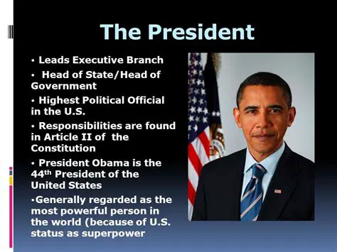 The President is the head of the executive branch