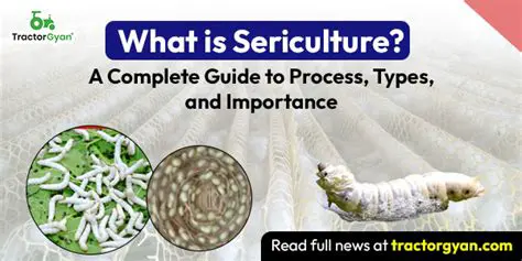 The Prevalence of Health Hazards in Sericulture