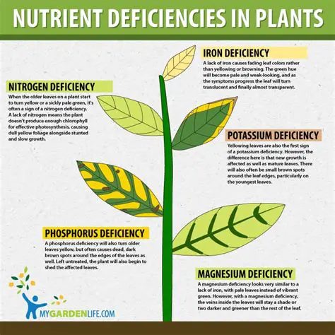 The Prevalence of Nutrient Deficiencies