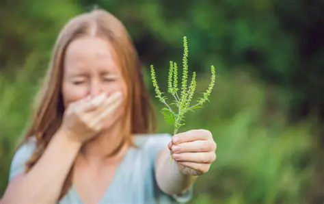 The Prevalence of Ragweed Allergies Among Sophomores