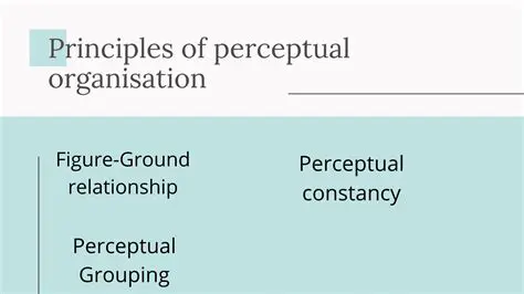 The Principles of Perceptual Organization