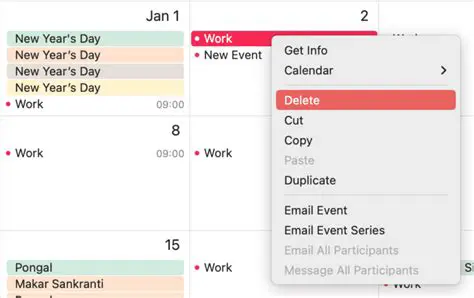 The Problem of Duplicate Calendar Items